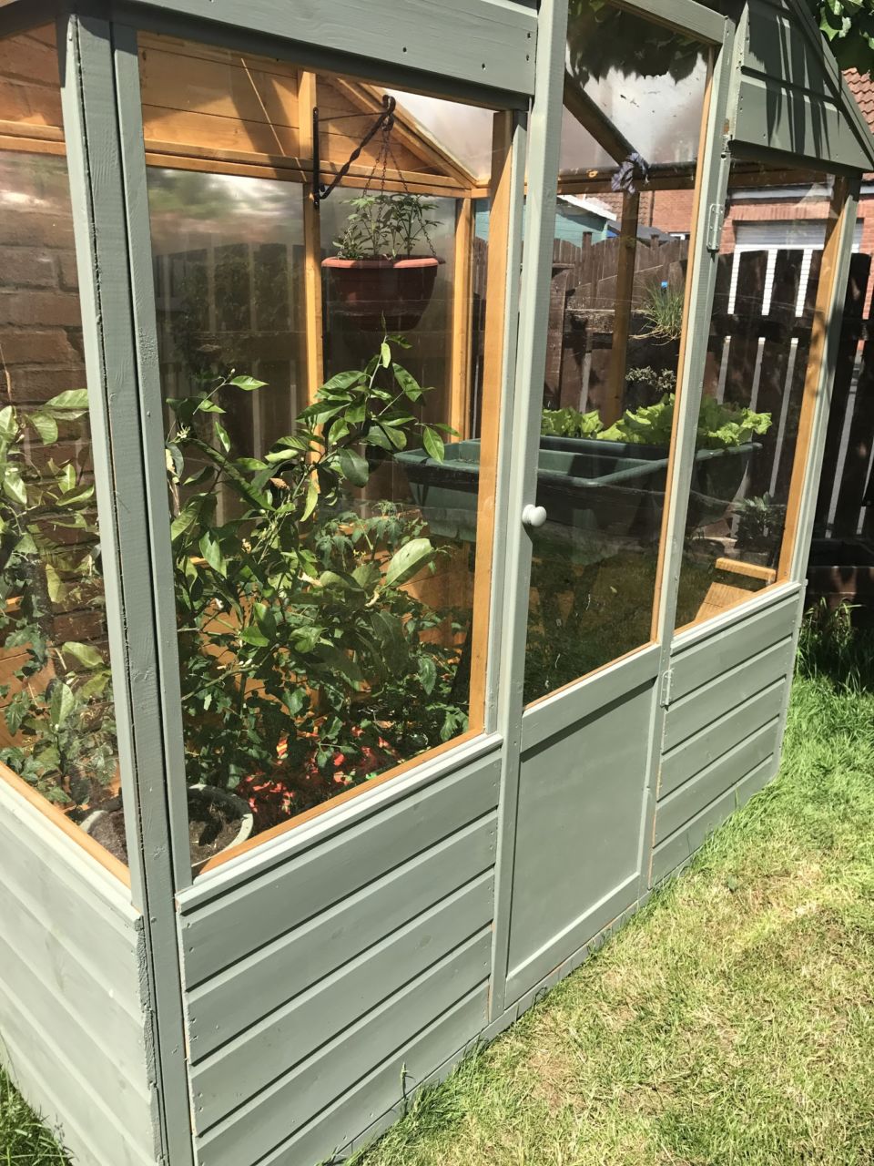 Duck egg painted greenhouse