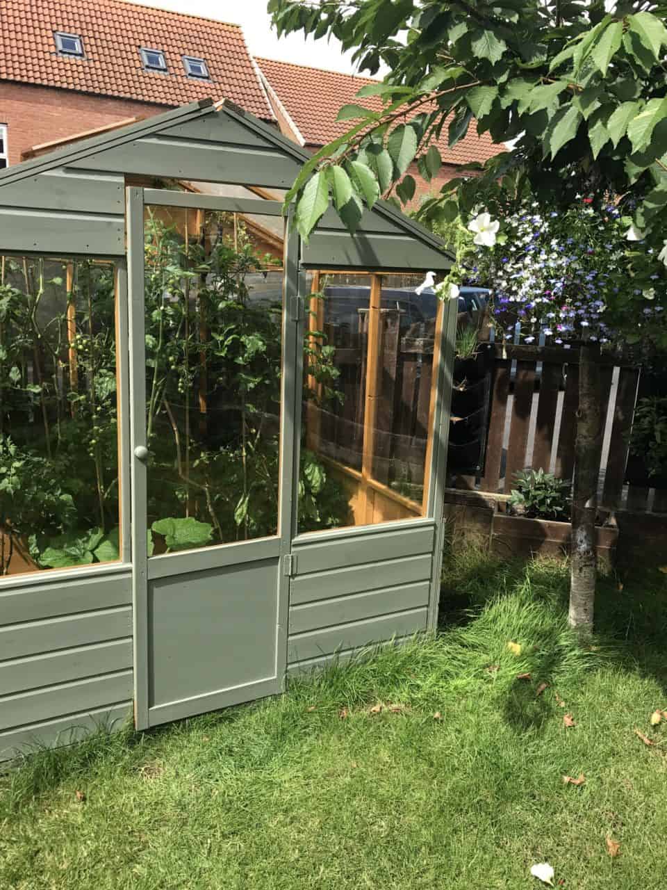 Summer garden update
