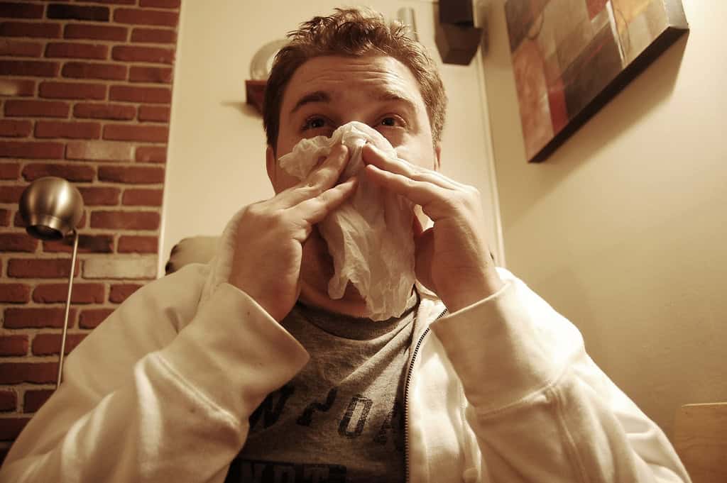How not to get sick
