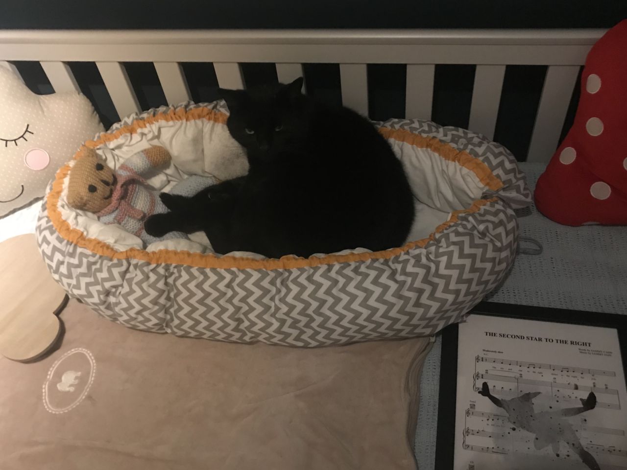 Charlie cat sleeping in the baby nest!