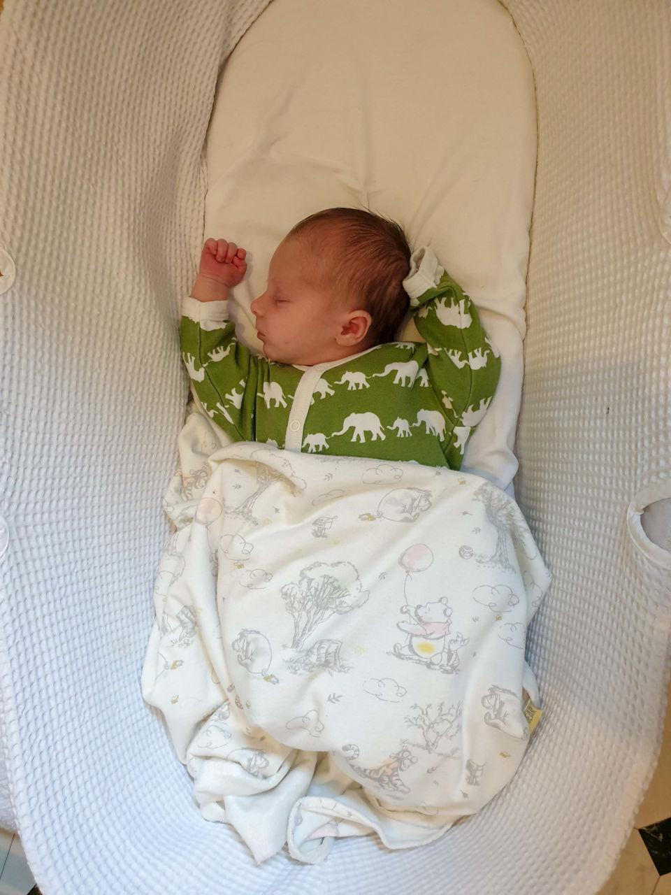 Belles and Babes organic baby clothing subscription review - Pigeon sleepsuit
