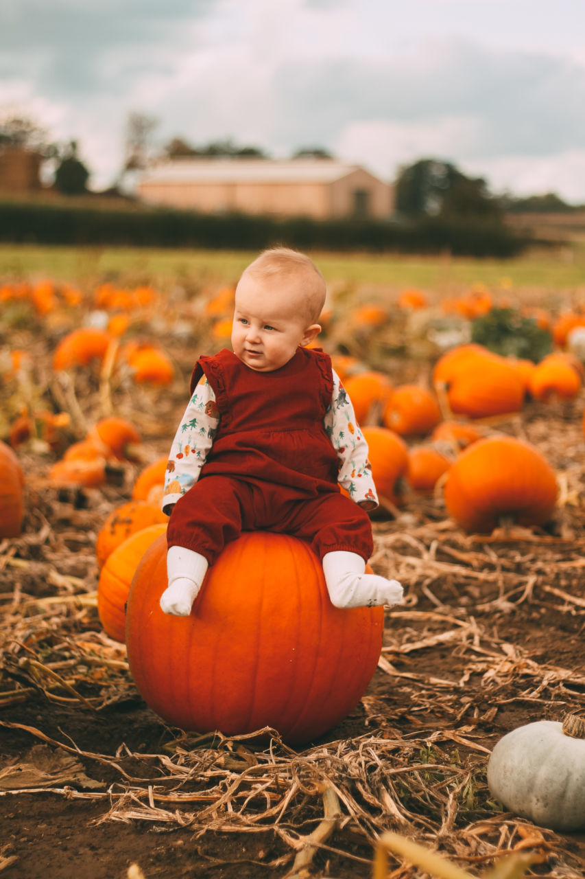 Baby at the Pumpkin Patch - Yorkshire Pumpkins