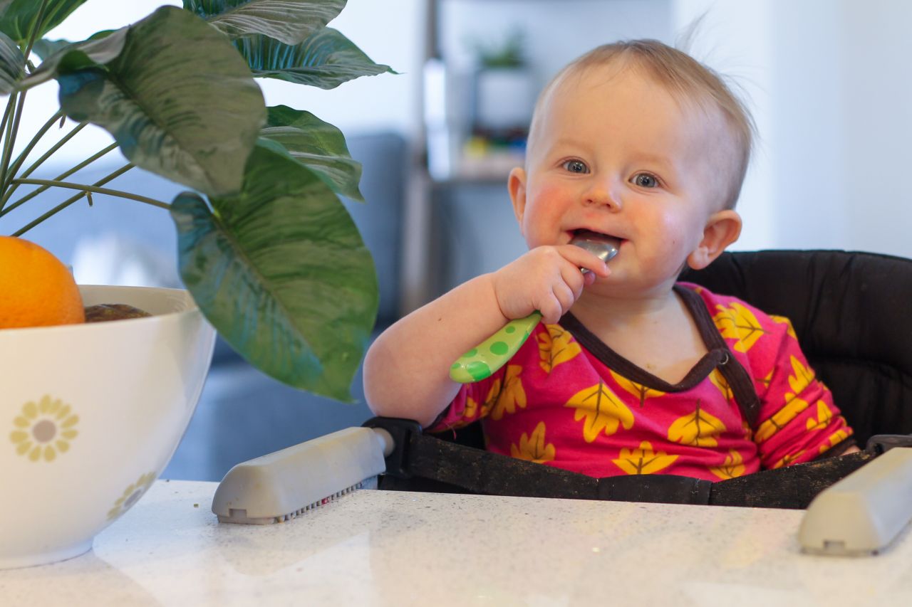 Baby led weaning at 1 year old