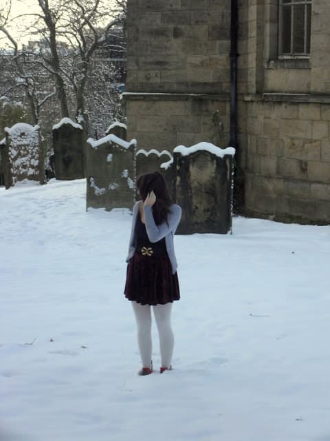 Velvet skirt in the snow
