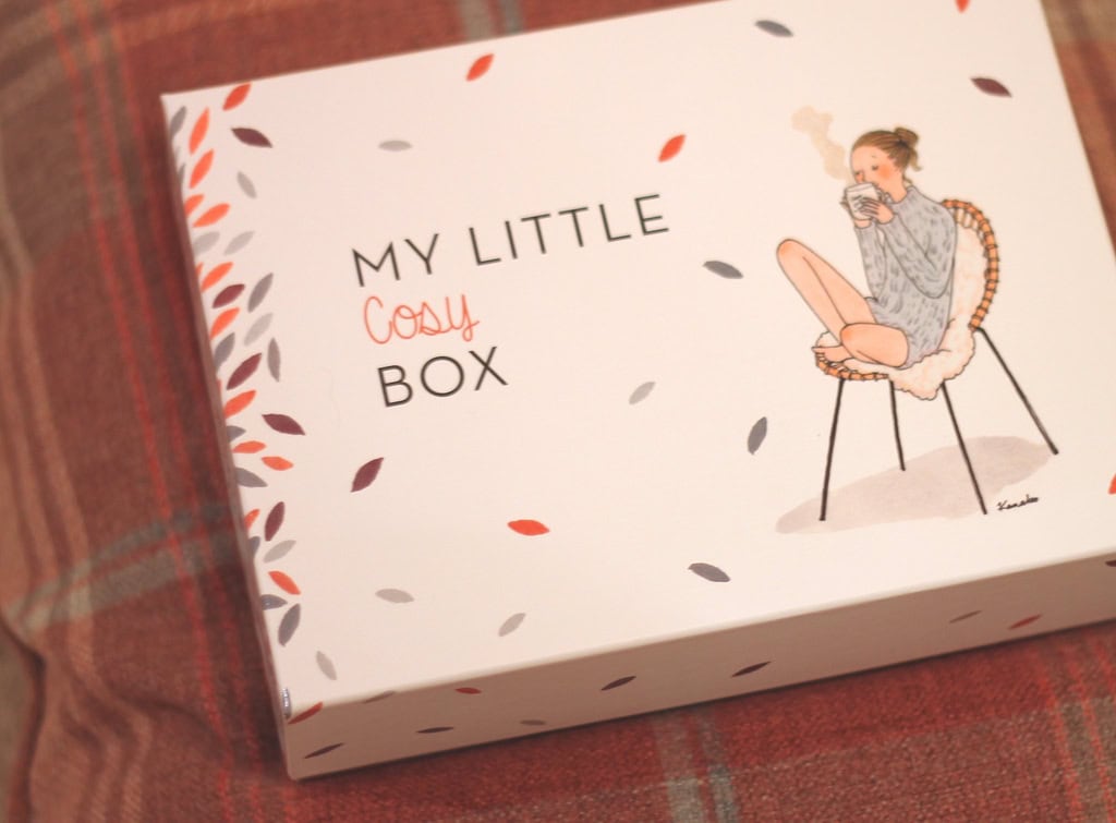 My Little Cosy Box: My Little Box November Review