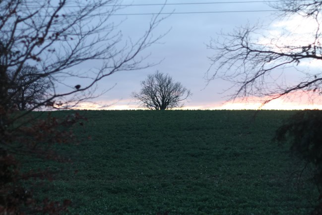 5 Things I’ll Miss About Our Old House