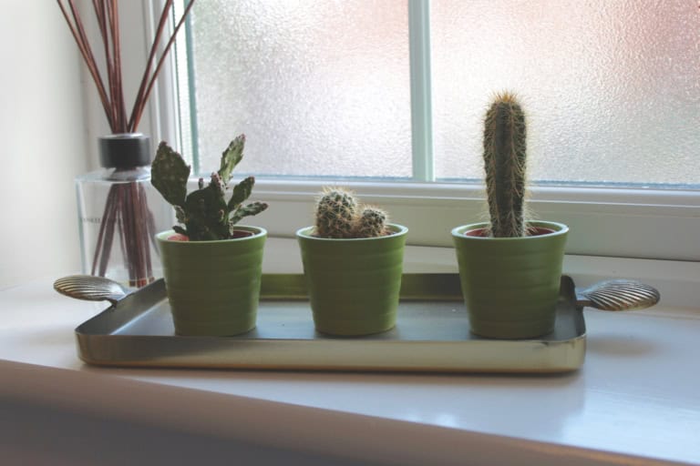 Downstairs bathroom details