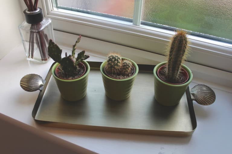 Downstairs bathroom details