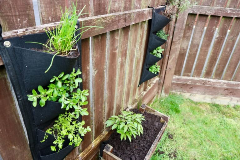Bank Holiday Gardening