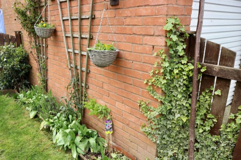 Bank Holiday Gardening