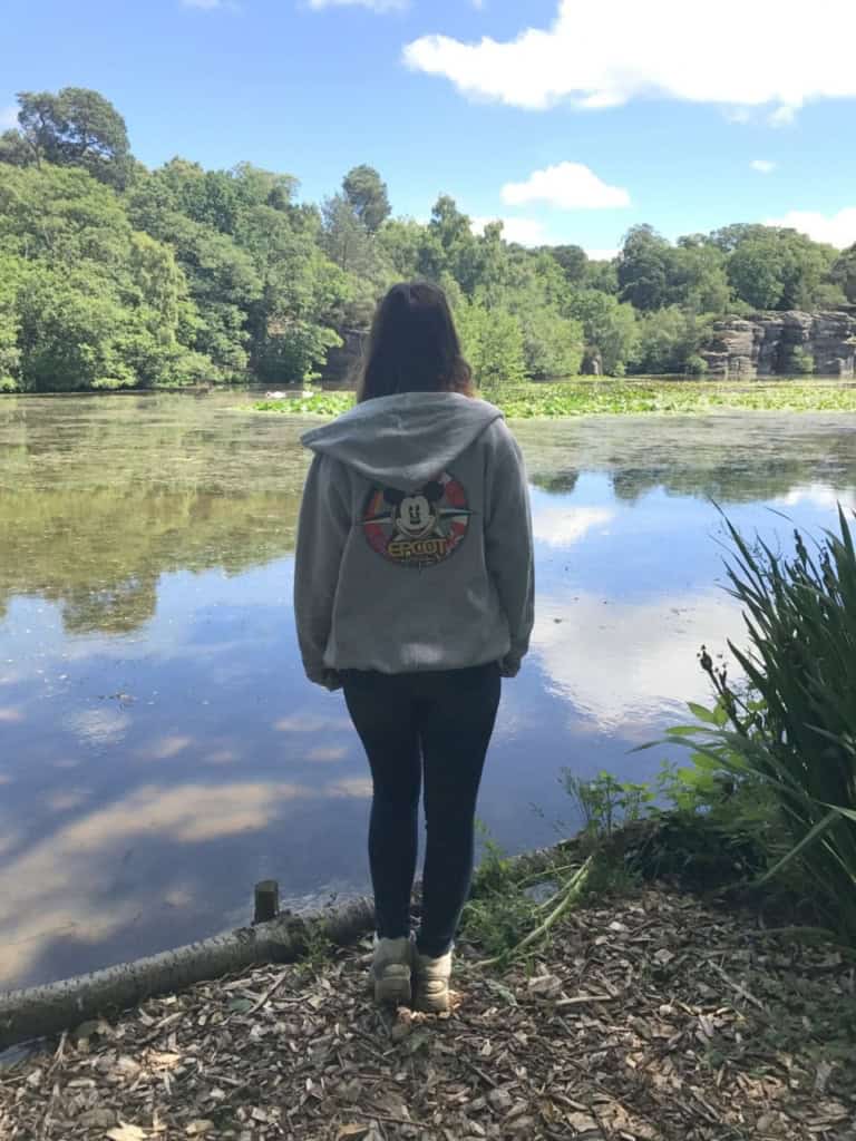 Plumpton Rocks near Harrogate