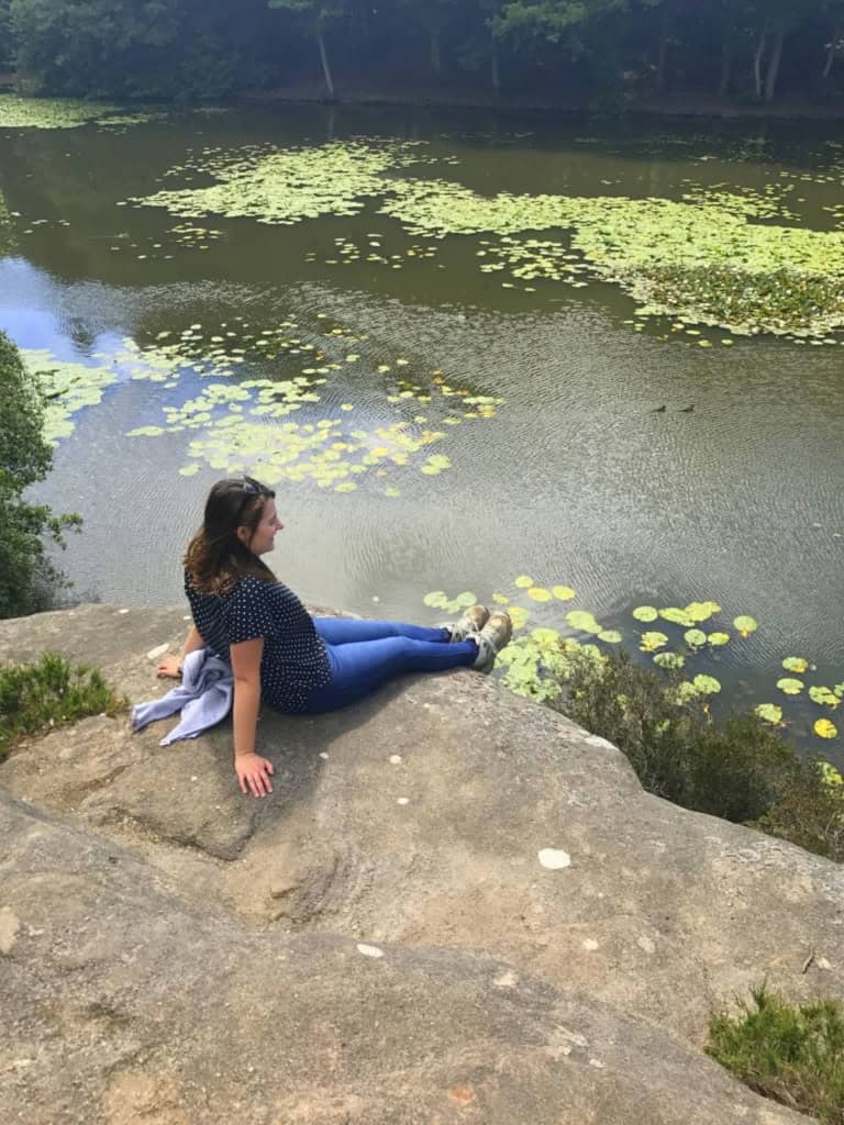 Plumpton Rocks near Harrogate