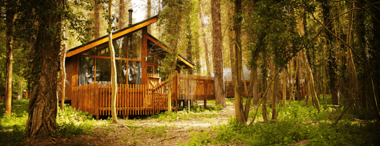 Woodland breaks