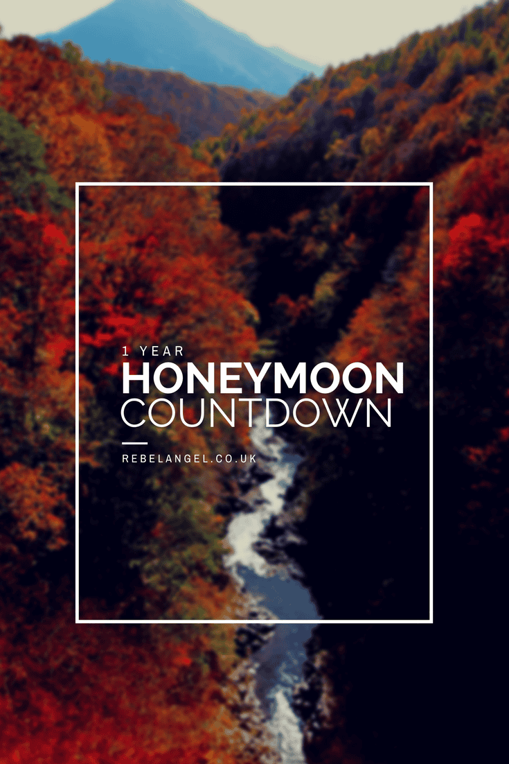 1 Year Honeymoon Countdown