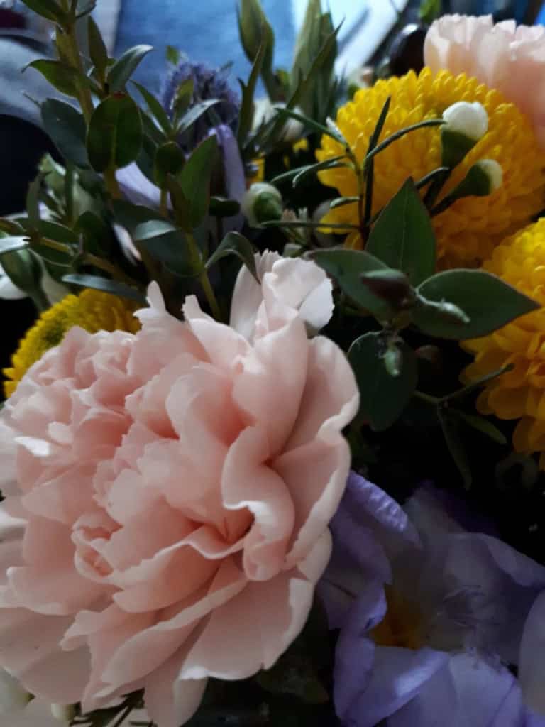 Reading, Watching, Listening, Doing #7