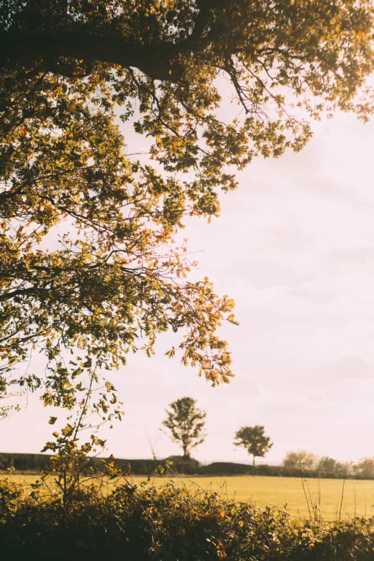 21 weeks pregnant maternity outfit - F&F autumn jumper with jeans