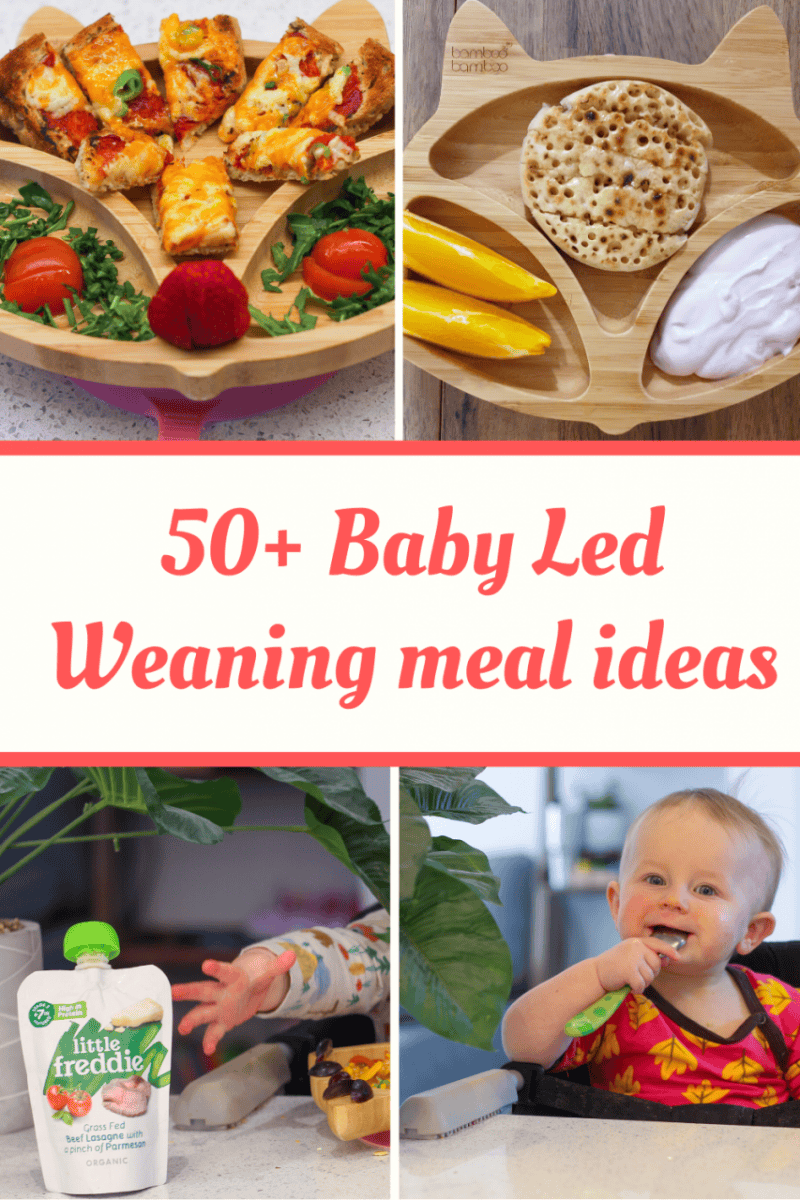 50-Baby-Led-Weaning-meal-ideas - Rebel Angel