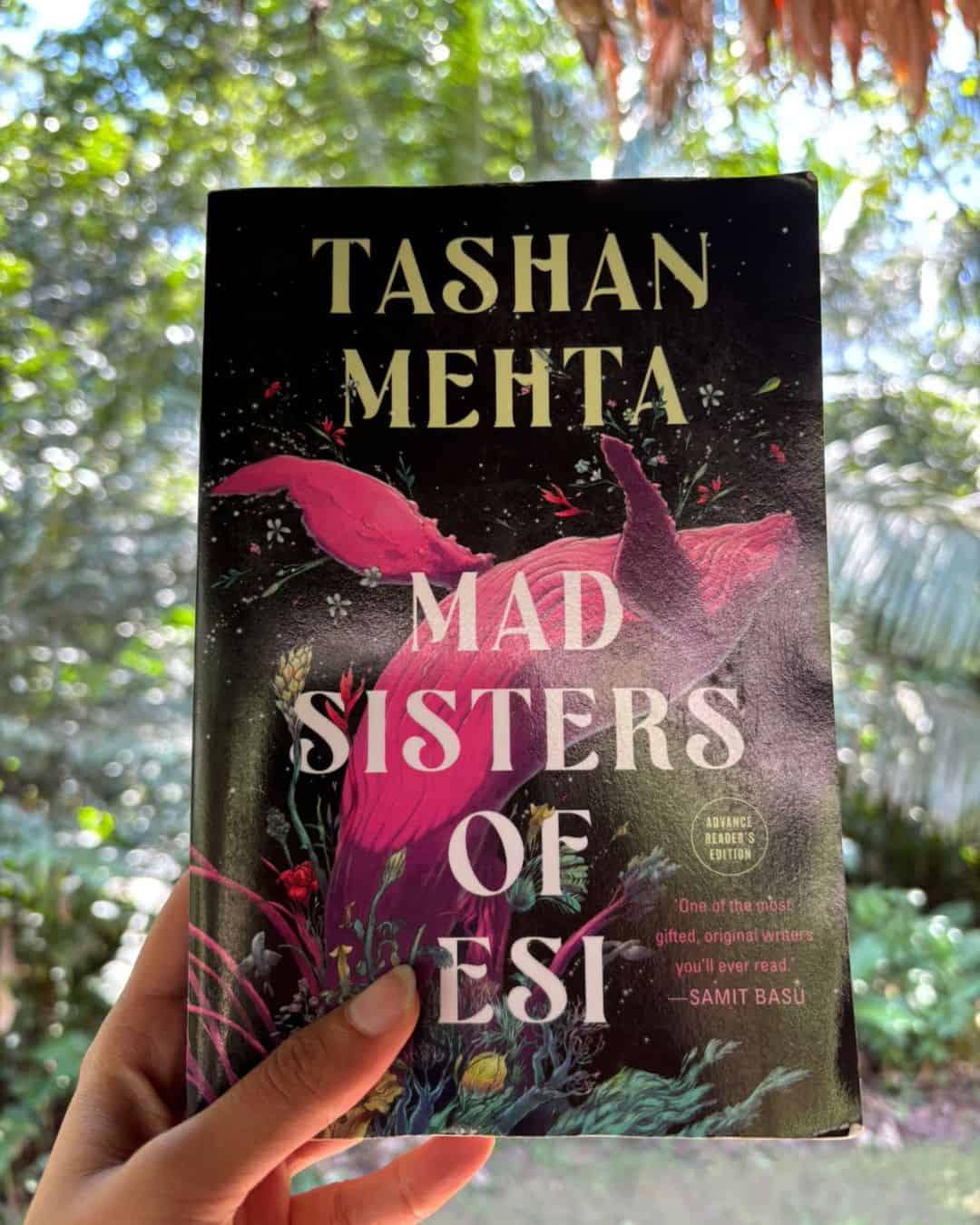Book Review: Mad Sisters of Esi by Tashan Mehta