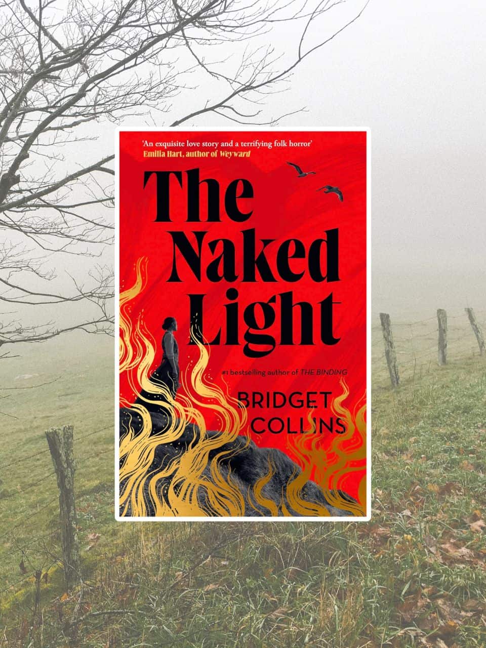 The Naked Light book review