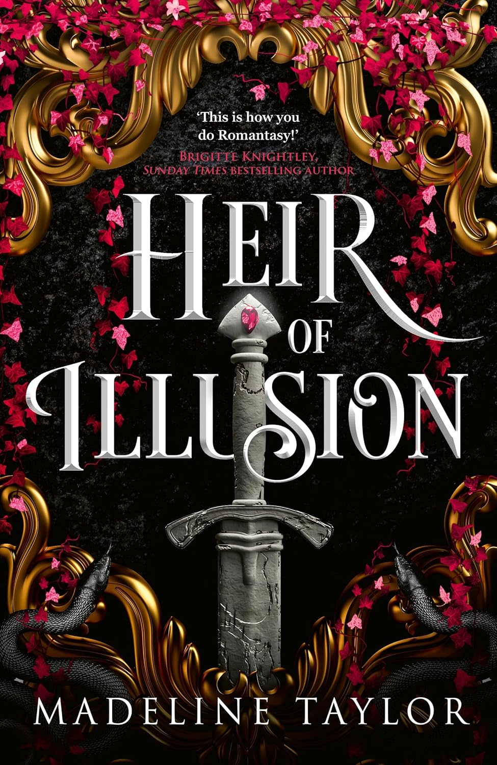 Heir of Illusion book