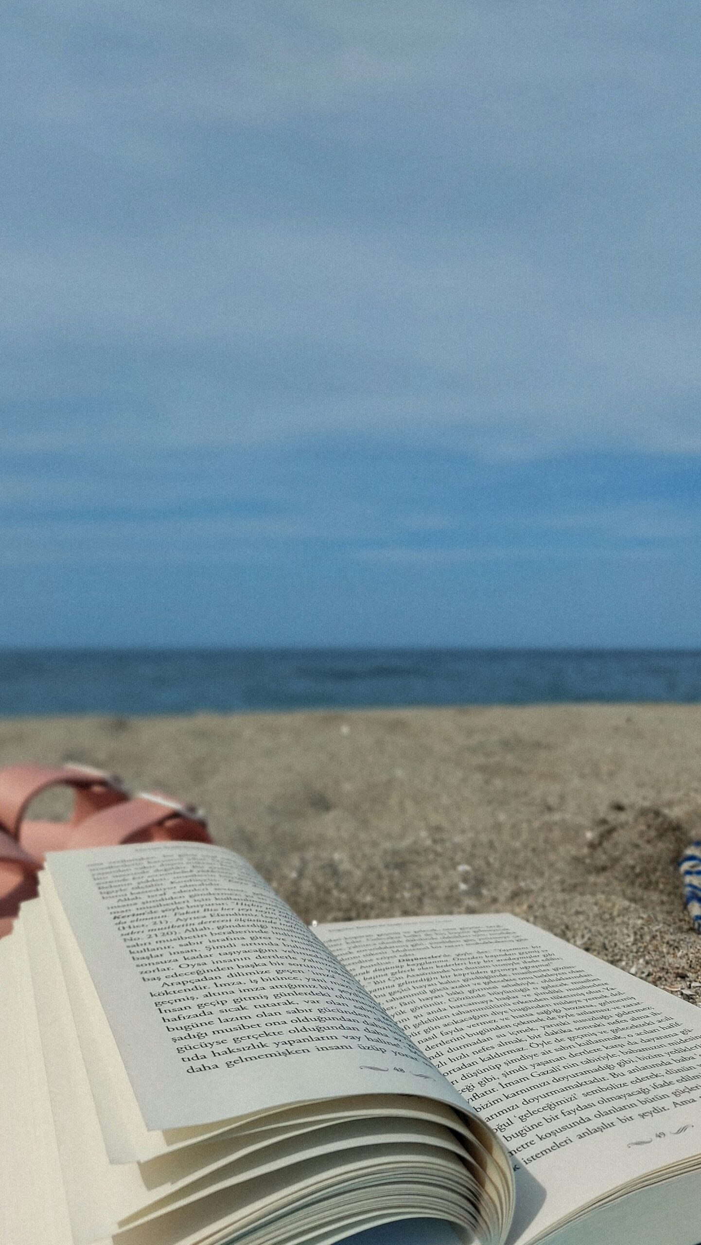 Reading Under the Palms: Curating the Perfect Tropical Book List