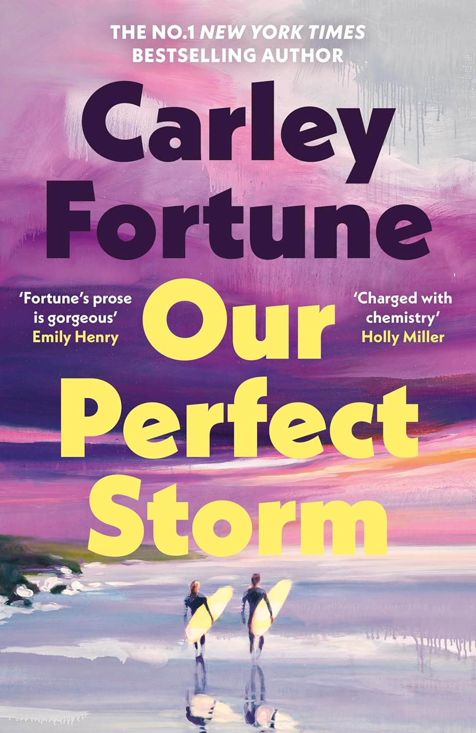 Our Perfect Storm book review