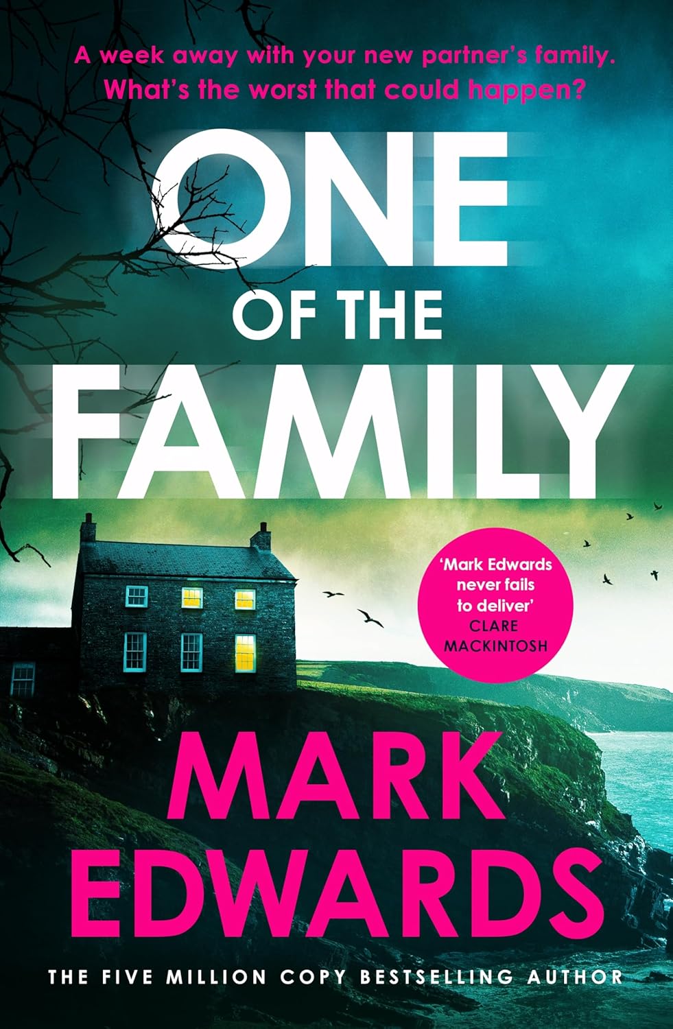 One of the Family by Mark Edwards book review