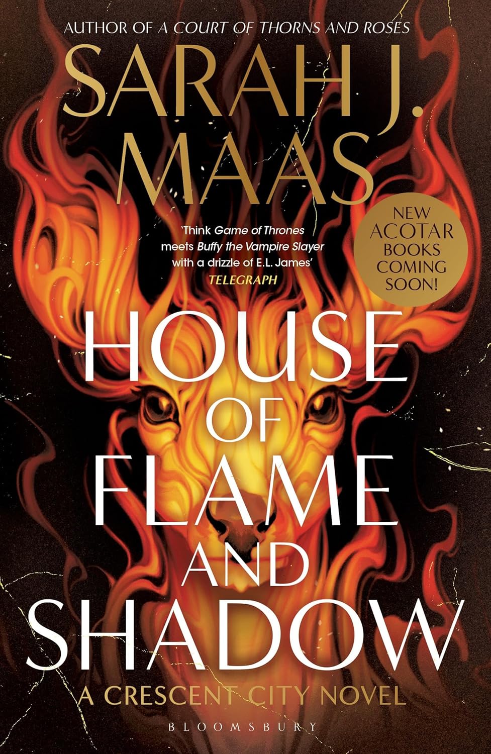 House of Flame and Shadow book review by Sarah J Maas